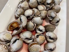 -华盛丰温州大排档(东三环南路店)