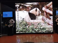 -眉州东坡(博雅店)
