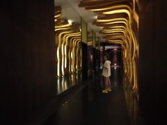 -深圳湾木棉花酒店