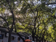 -北京国子监胡同