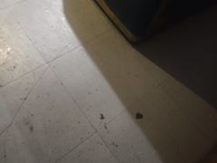 -金御沐足·影院式足道(新城店)