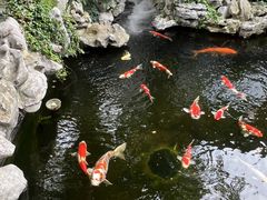 -鲤院·新中式美学·庭院餐厅(夫子庙店)