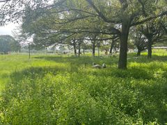 -赛汗塔拉风情园