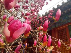 -潭柘寺景区