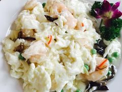 芙蓉虾仁-老苏扬饭店