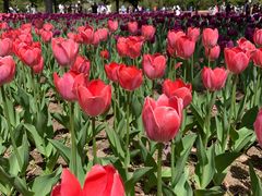 -长春公园(普阳街道)