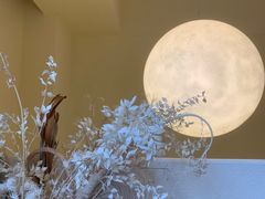 -伊斯坦布尔土耳其清真咖啡餐厅