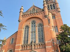 -上海佘山国家森林公园西佘山园