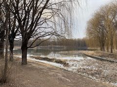 -东坝千亩湖公园