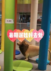 -波比一号儿童乐园(圣熙8号店)