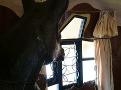 -疯狂屋