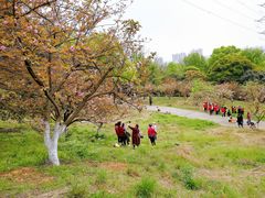 -石峰公园