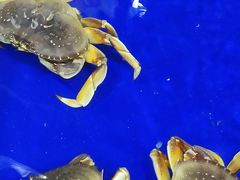 -渔民新村(番禺总店)