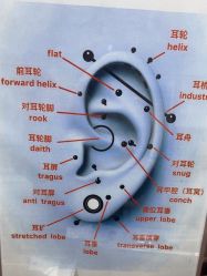 -AI艾耳·专业手工耳洞·穿孔美学馆