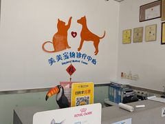-美美宠物诊疗中心·异宠·骨科(滨江东信分院)