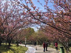 -苏州河梦清园环保主题公园