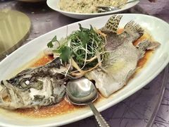 -轩记海鲜餐厅·四十五年老字号·经典粤菜(西区彩虹店)