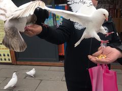 -龙口南山旅游景区