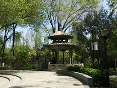 -玲珑塔公园