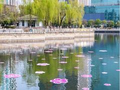 -西北湖绿化广场