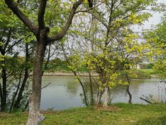 -梁鸿国家湿地公园