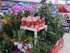 -大润发(梅兰东路店)