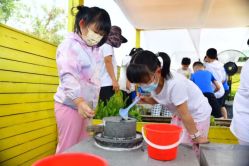 -小蜜蜂农场(凯德七宝购物广场店)