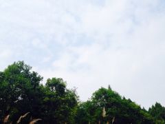 iphone_upload_pic-仙海旅游度假区