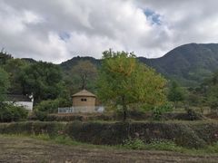 -塔川景区