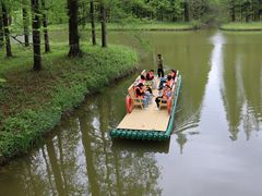 -黄海国家森林公园