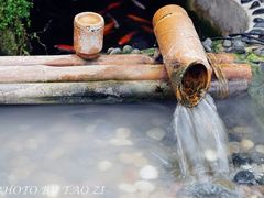 景观位-丽江庭院之爱在路上(西单店)