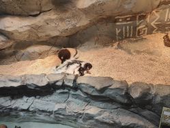 -Zoolung Zoolung动物主题公园(海信广场店)