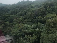 -普陀山佛顶山索道