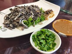 -清雅轩·清真菜·春饼•烤鸭(滑翔店)