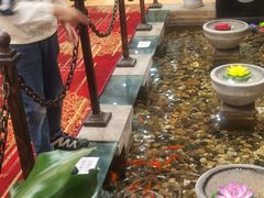 -山明水秀大饭店