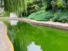 -团结湖公园