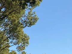 -呼吸森林·生态农庄农家乐私房菜