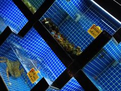 -徽三说·土徽菜·中国徽菜连锁品牌(一中店)