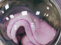 -北京赛佳动物医院