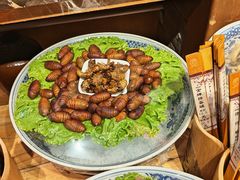 -鸽子窝(青塔店)