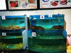 水产区-前王院•巧克力海鲜市集餐厅(万平口店)