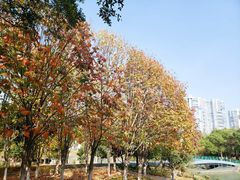 -白塘生态植物园