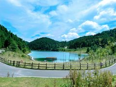 -武陵山森林公园