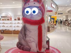 -丽达购物中心(崂山店)