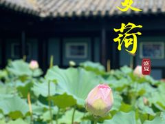 -三国水浒景区(无锡影视基地)