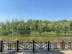 -塘沽森林公园