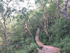 -白草畔自然风景区