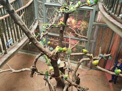 -正佳雨林生态植物园
