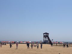 -日照海滨国家森林公园