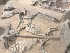 -洛阳周王城天子驾六博物馆